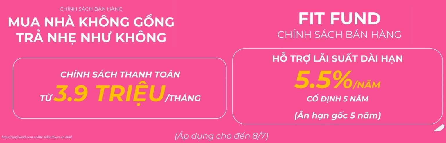 Chính sách thanh toán mua nhà The Felix C-Holdings 05/2025